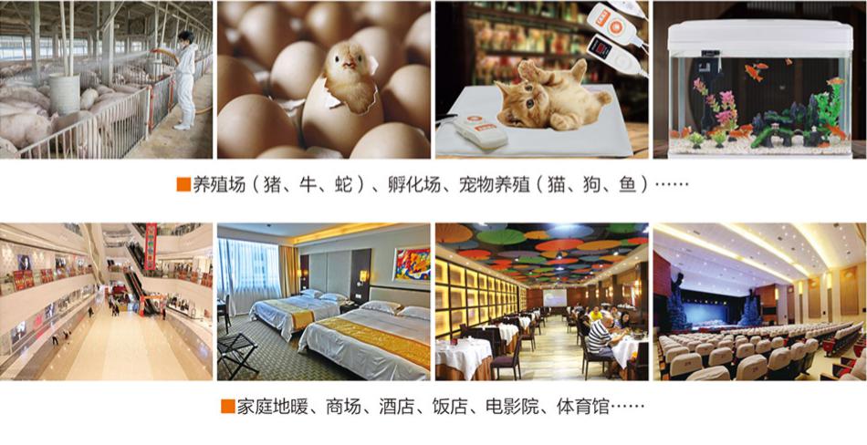 圖片1.jpg 圖片1.jpg